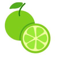 isolated fruit in shape flat style vector