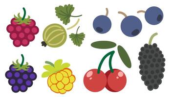 shape fruits set vector