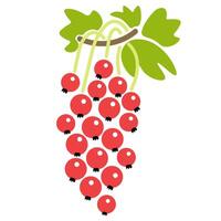 isolated fruit in shape flat style vector