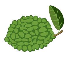 isolated fruit in shape flat style vector