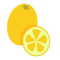 isolated fruit in shape flat style vector
