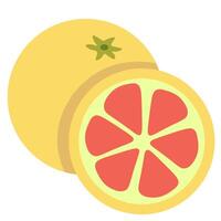 isolated fruit in shape flat style vector