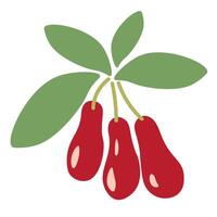 isolated fruit in shape flat style vector