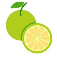 isolated fruit in shape flat style vector
