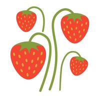 isolated fruit in shape flat style vector