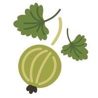 isolated fruit in shape flat style vector