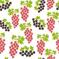 seamless fruits pattern vector