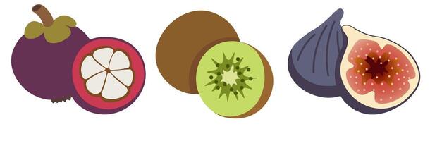 shape fruits set vector