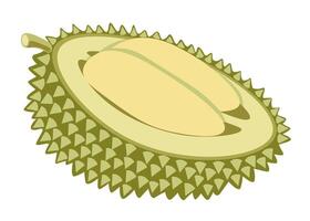 isolated fruit in shape flat style vector