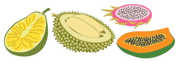 shape fruits set vector