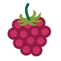isolated fruit in shape flat style vector