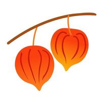 isolated fruit in shape flat style vector