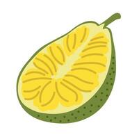 isolated fruit in shape flat style vector