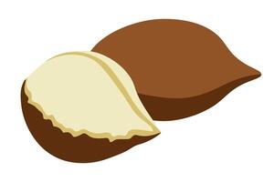 isolated fruit in shape flat style vector