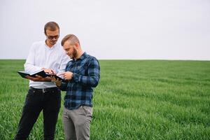 Two farmer standing in a wheat field and looking at tablet, they are examining corp. Young handsome agronomist. Agribusiness concept. agricultural engineer standing in a wheat field. photo
