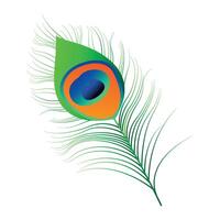 mor pankh, peacock feather vector