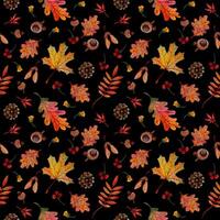 Seamless pattern autumn elements. Orange maple, oak and rowan leaves, cones, acorns and samara on black background vector