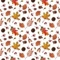 Seamless pattern autumn elements orange maple oak rowan leaves cones acorns samara on wight background. Suitable for creating printed fabric, wrapping paper, notebook covers, and more. vector