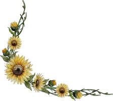 asymmetric wreath frame corner of flowers of buds of leaves o vector
