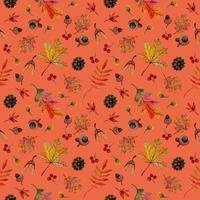 seamless pattern autumn elements orange maple oak rowan leaves cones acorns samara on range background vector