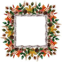 square frame autumn oak, ashberry, maple, rosehip, chestnut leaves and burdock, bump, acorn, branches vector