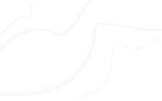 Abstract White Background with Fluid Shapes vector