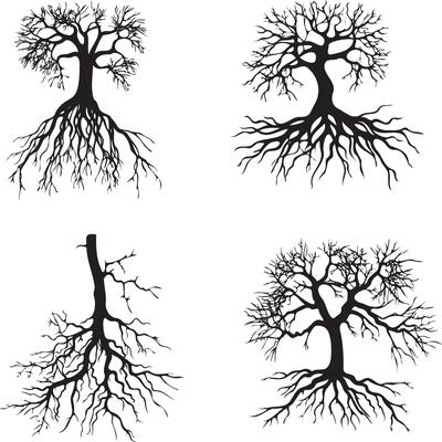 Tree roots set black silhouettes