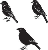 Bird set icons logo type silhouette vector