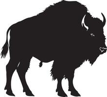 Bison Black Silhouette on white background vector