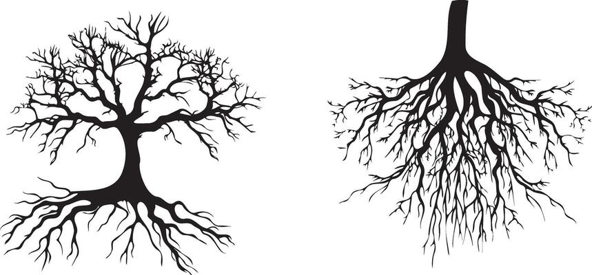 Tree roots set black silhouettes