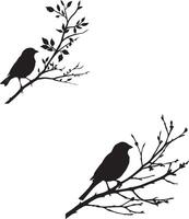 Sparrow bird silhouette branch vector