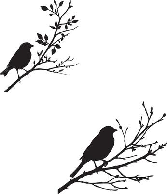 Sparrow bird silhouette branch
