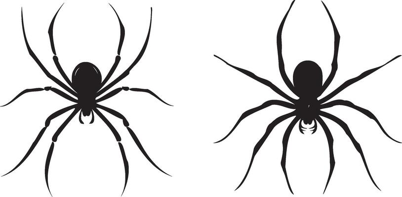 set of black spider silhouette