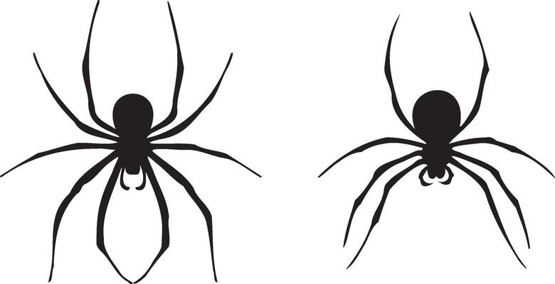 set of black spider silhouette