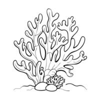 Reef. Icon on a white background. One line vector
