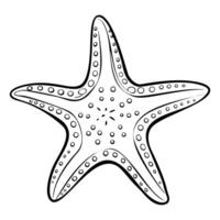starfish lying on the seabed, top view, on a white background vector