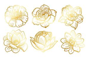 Golden sketch of a flower on a white background. vector