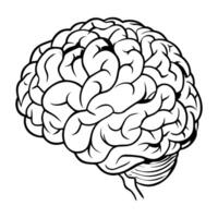 Brain. Internal organs. Icon on a white background. One line vector