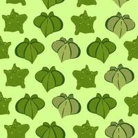 Seamless pattern of green astrophytum succulents on a green background vector