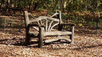 One wooden chairs view located in the park in autumn photo
