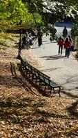 The beautiful central park autumn landscape with the colorful trees in New York photo