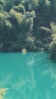 el hermosa lago paisajes con el verde bosque como antecedentes en el campo de el China foto