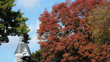 The beautiful central park autumn landscape with the colorful trees in New York photo