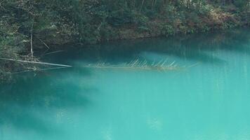 The beautiful lake landscapes with the green forest as background in the countryside of the China photo