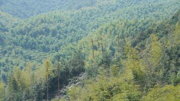 The beautiful mountains landscapes with the green bamboo forests as background in the countryside of the China photo