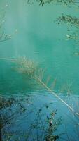 The beautiful lake landscapes with the green forest as background in the countryside of the China photo