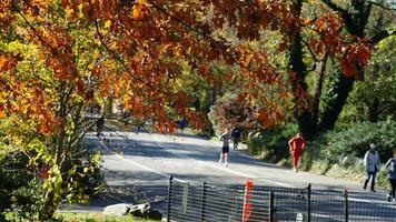 The beautiful central park autumn landscape with the colorful trees in New York photo