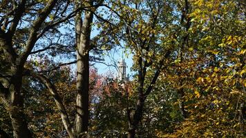 The beautiful central park autumn landscape with the colorful trees in New York photo