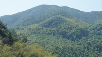 The beautiful mountains landscapes with the green bamboo forests as background in the countryside of the China photo