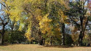 The beautiful central park autumn landscape with the colorful trees in New York photo